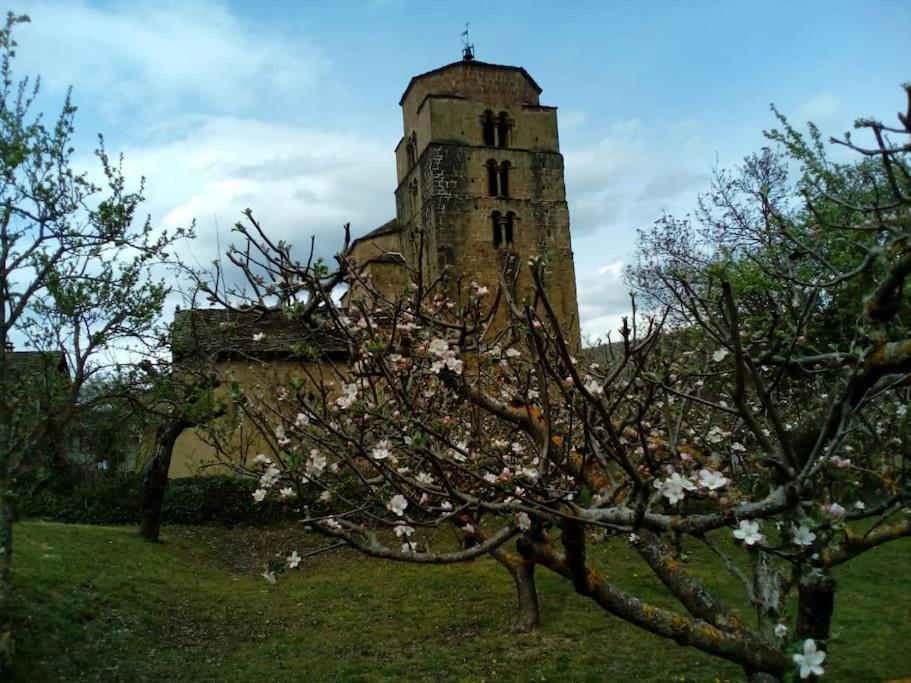 Casa Rural Barangua En El Pirineo Aragones Santa Cruz de la Serós 外观 照片