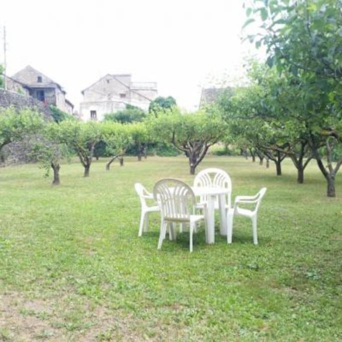 Casa Rural Barangua En El Pirineo Aragones Santa Cruz de la Serós 外观 照片
